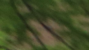 Curly Concepcion. Residentes de Fulton Housing en Chelsea no quieren que la ciudad tire abajo los edificios para acer lugar a mas edificacion en la zona.