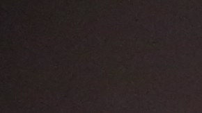 Rosa y Jose Saldana en su departamento de El Bronx.