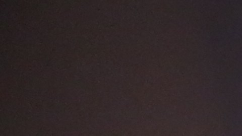 Rosa y Jose Saldana en su departamento de El Bronx.