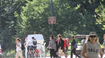 Las biicicletas y los turistas mas los corredores circulan en el Central Park.