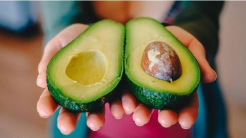 0955_aguacate_620x350