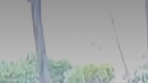 Louise Signore está orgullosa de sus raíces italianas