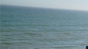 ¿Qué país ofrece los mejores servicios de internet para los expatriados?