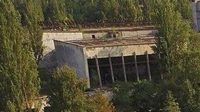 ¿Cómo logró proliferar la vegetación en Chernóbil tras la contaminación?