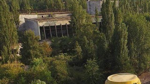 ¿Cómo logró proliferar la vegetación en Chernóbil tras la contaminación?