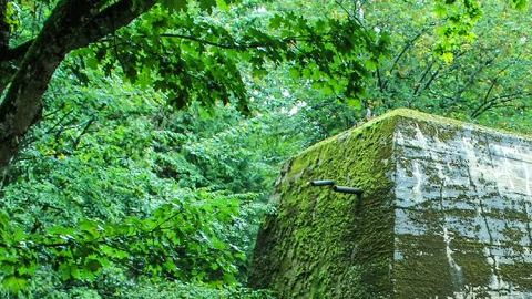 El concreto reforzado es tan masivo que algunas estructuras sobrevivieron.