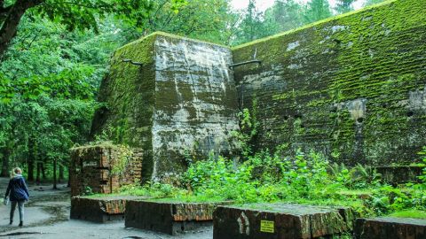 El concreto reforzado es tan masivo que algunas estructuras sobrevivieron.