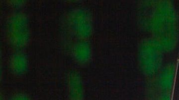 Apple recomendó a sus usuarios actualizar sus dispositivos móviles.