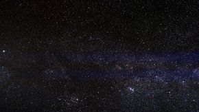 Los tardígrados son los primeros animales que sobrevivieron en el espacio.