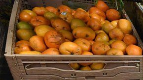 Los bancos de alimentos y los cupones de alimentación son opciones de los más pobres.