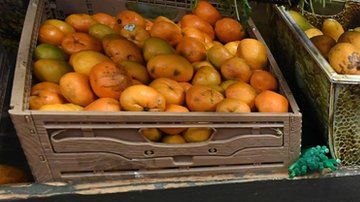 Los bancos de alimentos y los cupones de alimentación son opciones de los más pobres.