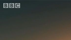 Los primeros humanos salieron de África... a pie.