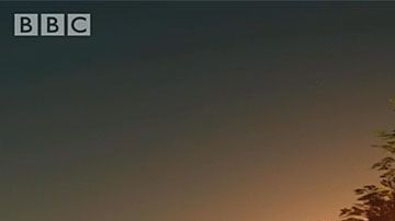 Los primeros humanos salieron de África... a pie.