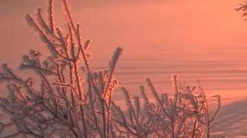 Encontraron más de 10,000 partículas de plástico por litro de nieve.