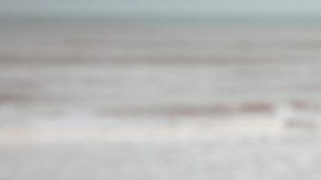 La picadura de la carabela portuguesa puede ser muy dolorosa