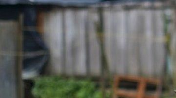 Productores de banano de Colombia aseguran que la calidad de su producto está garantizada.