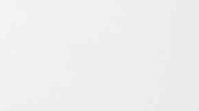 La habilidad de sincronizar los movimientos con los sonidos que percibimos es innata.