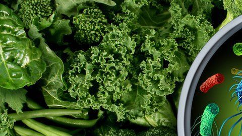 La listeria se encuentra en un amplio grupo de alimentos,