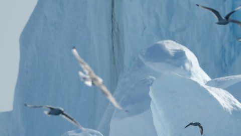 Los veranos se han hecho más largos en Groenlandia debido al cambio climático.