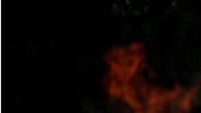 Los incendios en Brasil registran este año un número récord.