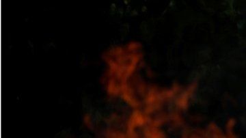 Los incendios en Brasil registran este año un número récord.