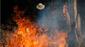 Los incendios en Brasil registran este año un número récord.