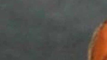 108408446_3810efeb-cc9c-4f13-ab43-44ff2da27828