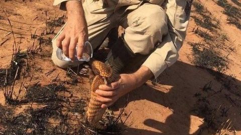 Pedro Ribas Alves es el sargento de los bomberos de Mato Grosso que se acercó a un armadillo para darle agua.