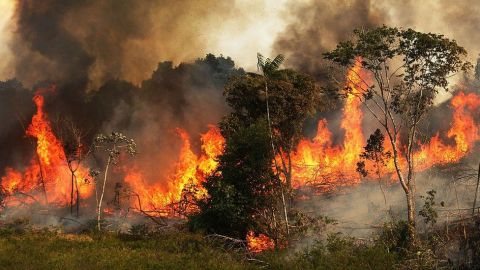 Los incendios no están vinculados a la temporada seca.