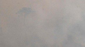 Más de la mitad de los incendios en Brasil son en la Amazonía.