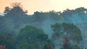 Los líderes del G7 acordaron el lunes entregar apoyo económico y logístico a los países afectados que están luchando apagar los incendios en la Amazonía.