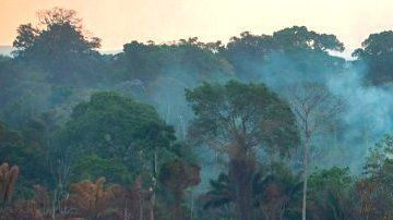 Los líderes del G7 acordaron el lunes entregar apoyo económico y logístico a los países afectados que están luchando apagar los incendios en la Amazonía.