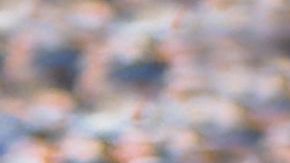 Hugo Sánchez conquistó cinco pichichis con el Real Madrid.