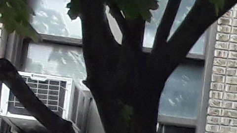La construcción estuvo sometida a rigurosas inspecciones este miércoles.