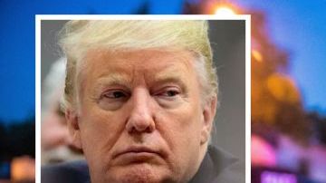 5512110-ice-arrest-1-1-1 (1)