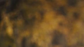 Cómo evitar el Alzheimer con ejercicio