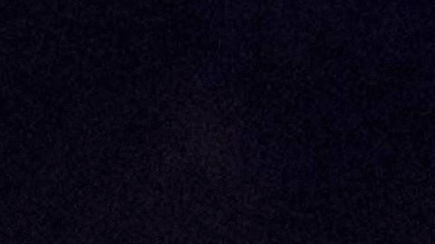 Los tiroteos de El Paso y Dayton acabaron con la vida de 32 personas.