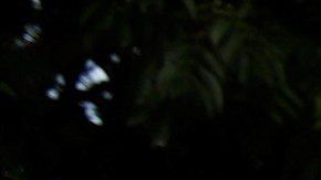 Ciento protestaron en contra de la designación de Wanda Vázquez, el pasado 29 de julio.