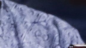 Nick Kyrgios volvió a acaparar los reflectores