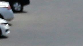 Decenas han dejado ofrendas cerca del lugar de  la masacre en El Paso.