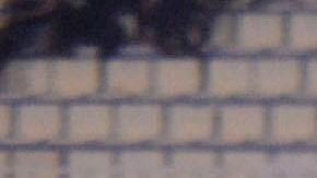 Mueren 4 aficionados en el Olimpia vs Motagua, Clásico de Honduras