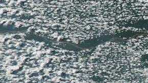 La primera visita presidencial de Bolsonaro fue en marzo a EEUU.