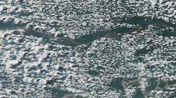 La primera visita presidencial de Bolsonaro fue en marzo a EEUU.