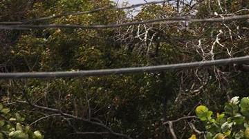 Una casa rústica con toldo azul sobre el techo para protección en Ponce, en la costa sur de Puerto Rico.