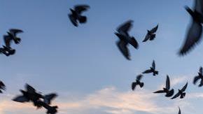 El panorama esta mañana en el muelle de Cocoa Beach, en Florida.