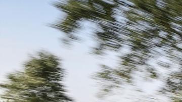 Porsche Cayenne Turbo S E-Hybrid: la Cayenne más rápida de Porsche.