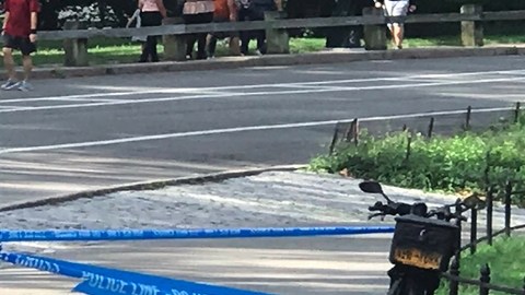 NYPD en Central Park