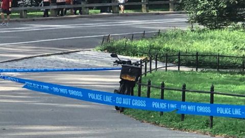 NYPD en Central Park