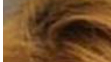 Michelle Lee Light está acusada de provocar la muerte de su nieto de 19 meses.