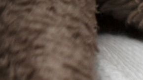 El último varón que nació fue hace 10 años.